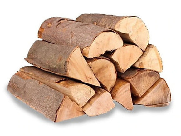 Beech British Kiln Dried Logs 10KG for pizza ovens